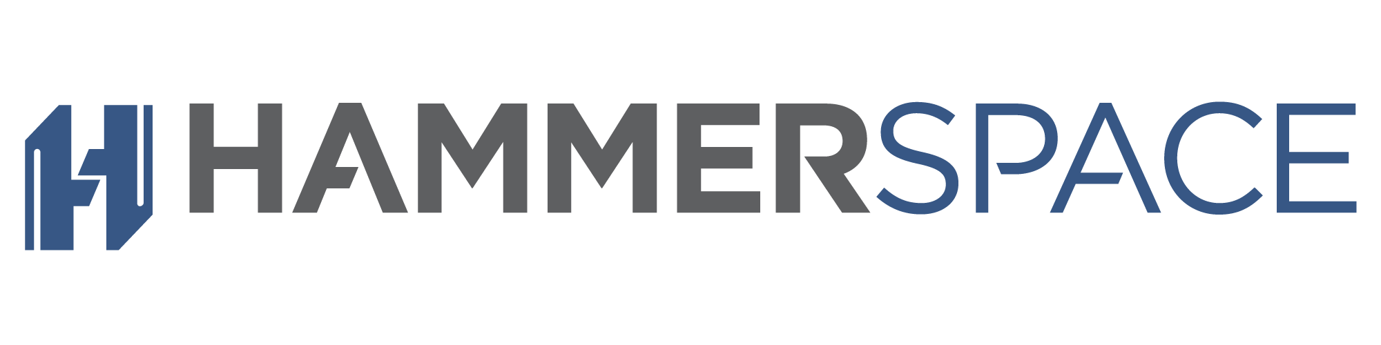 logo-hammerspace